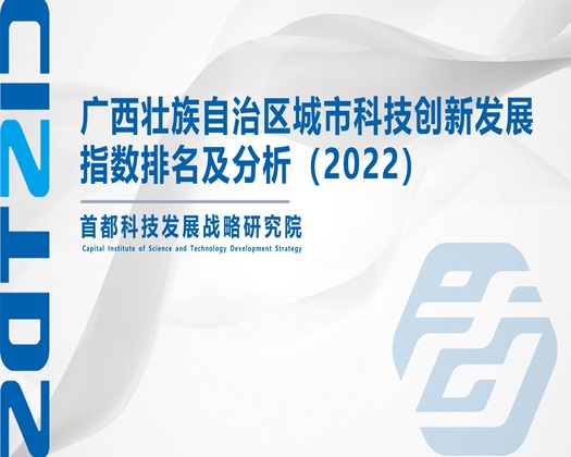 肏屄肏东北老女人的屄【成果发布】广西壮族自治区城市科技创新发展指数排名及分析（2022）